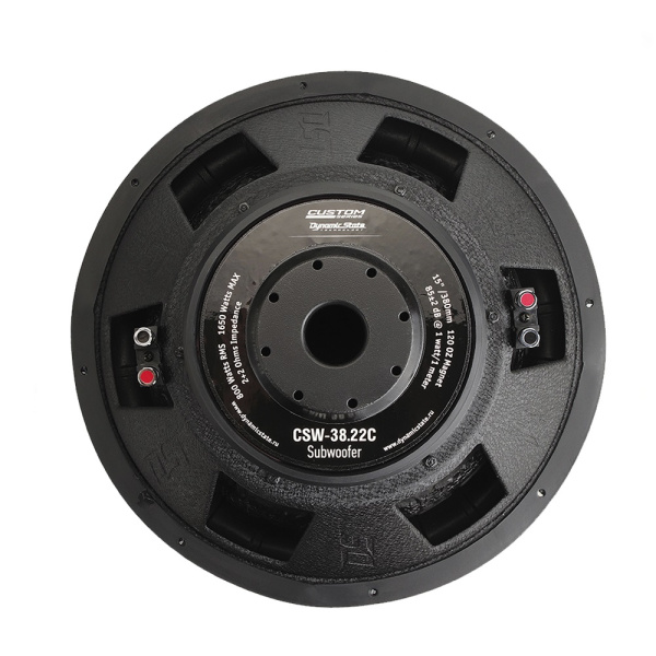 DYNAMIC STATE CSW-38.22c