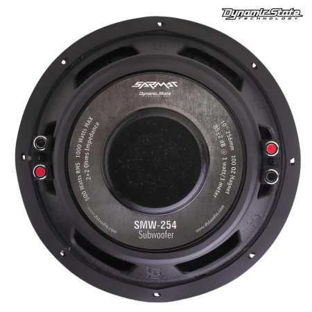 Dynamic State SARMAT SMW-254