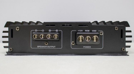 FSD audio MASTER 1000.1