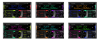 AurA | AMD-782DSP (2023)