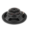 Audio System R12 FLAT EVO2