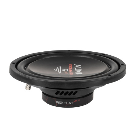 Audio System R12 FLAT EVO2
