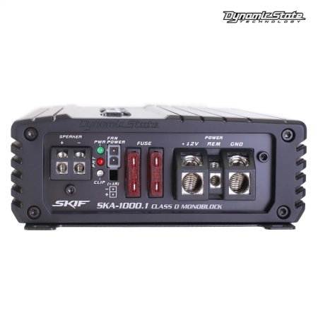 Dynamic State SKIF SKA-1000.1